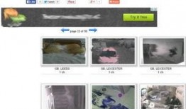 俄罗斯真实爆料视频大全,真实爆料视频大全深度解析