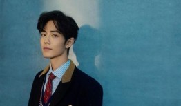 爆料肖战版权事件视频在线观看,揭秘事件背后真相